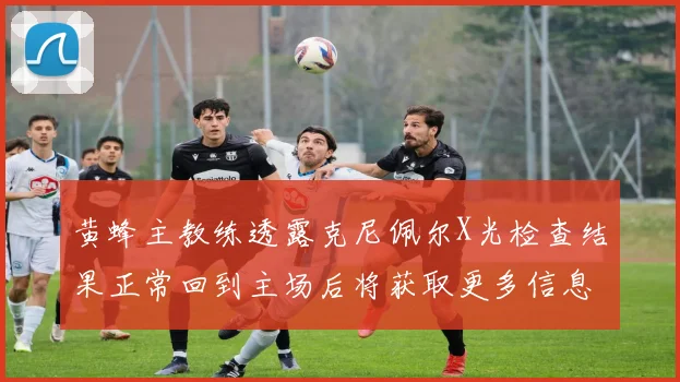 黄蜂主教练透露克尼佩尔X光检查结果正常回到主场后将获取更多信息