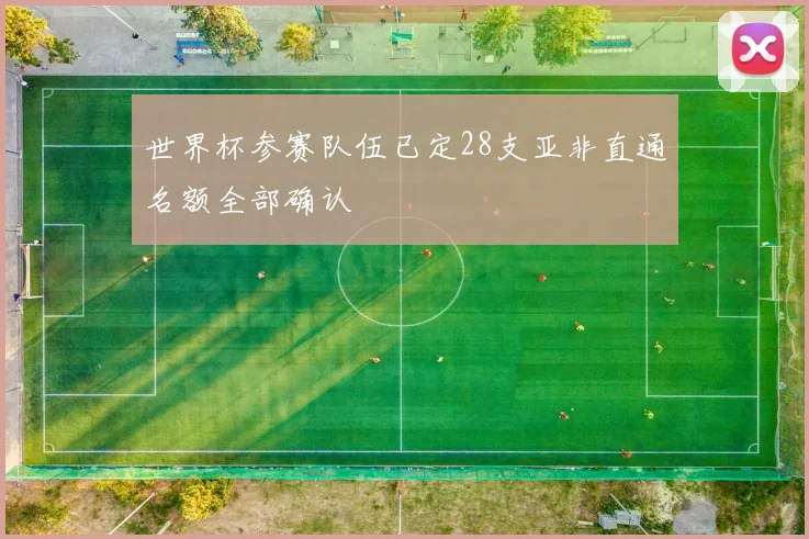 世界杯参赛队伍已定28支亚非直通名额全部确认