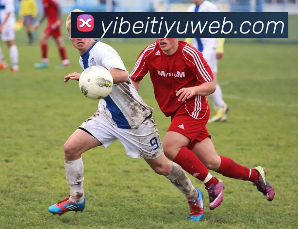 易倍体育发展历程