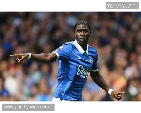 埃弗顿寻求前锋引援目标锁定托尼与齐尔克泽阿尔特塔坚决不放热苏斯