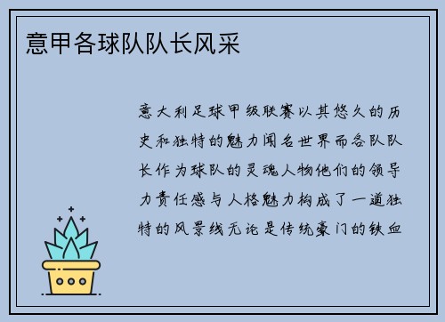 意甲各球队队长风采